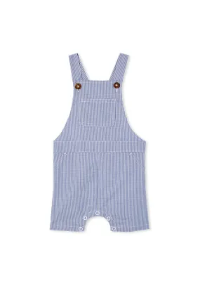 CHECK OVERALL