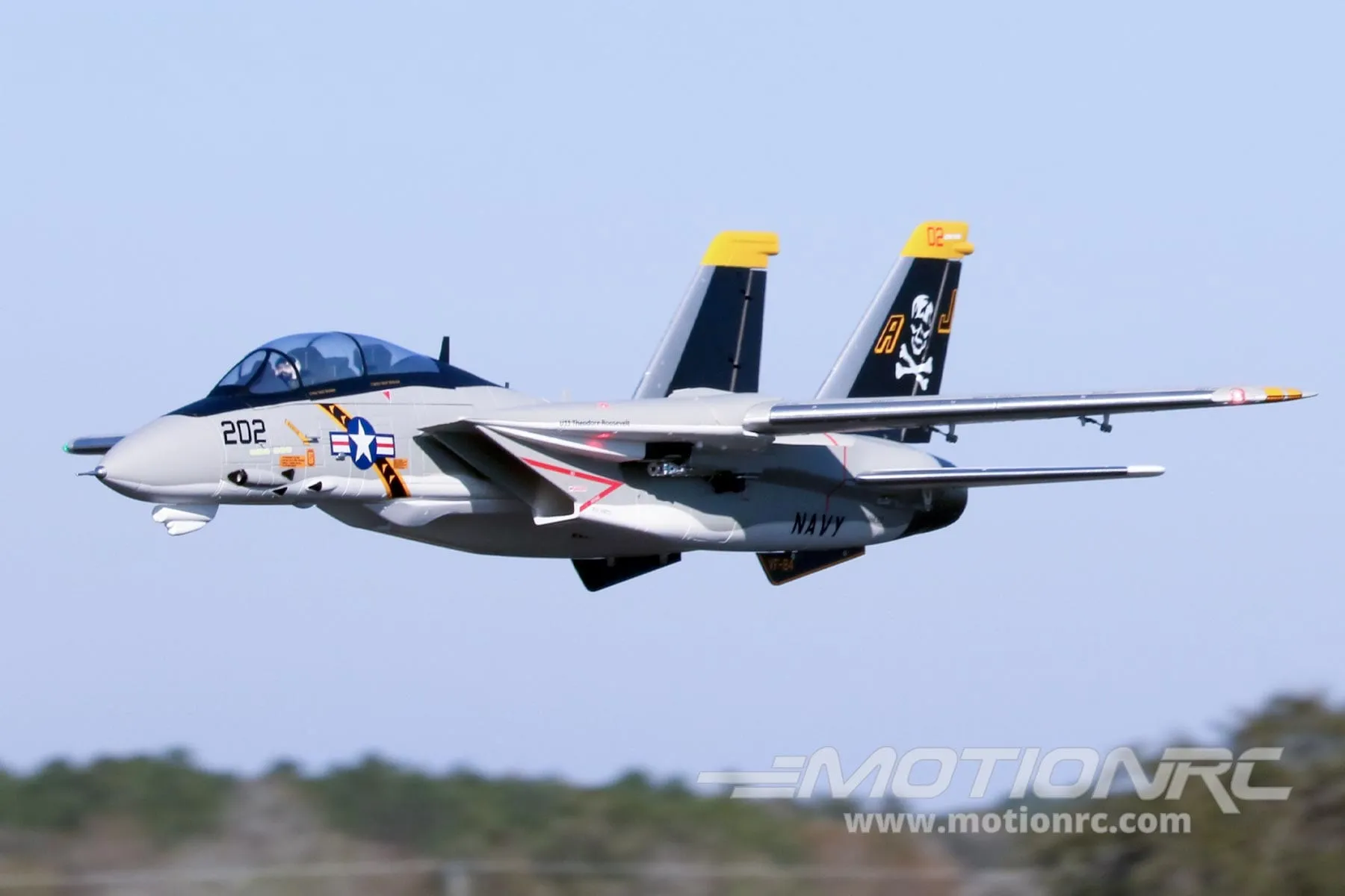 Freewing F-14 Tomcat Twin 64mm EDF Jet - PNP