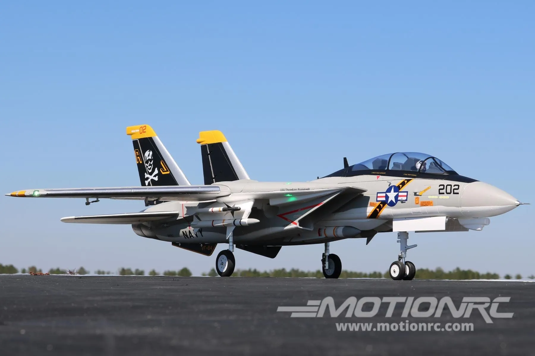 Freewing F-14 Tomcat Twin 64mm EDF Jet - PNP