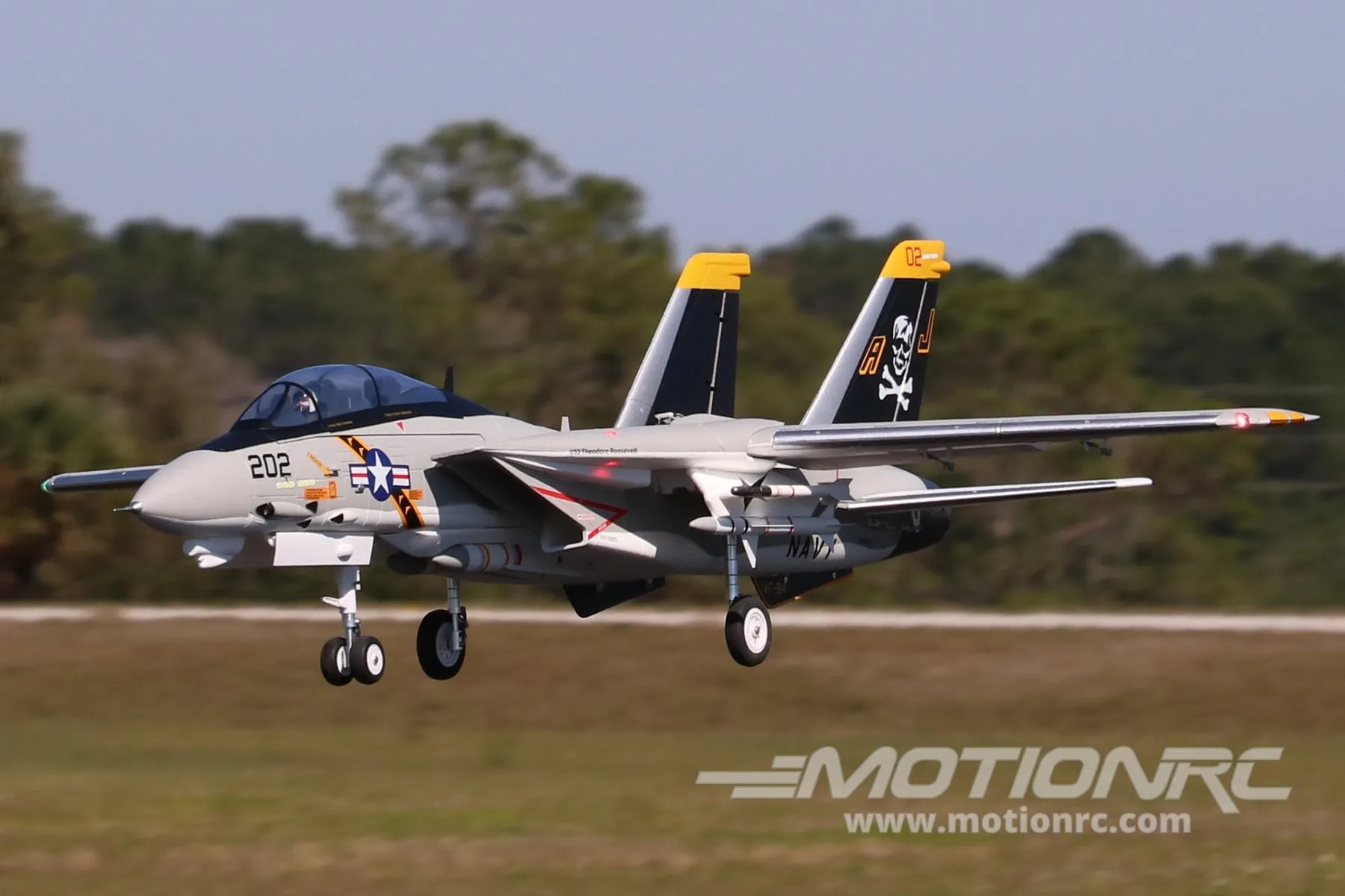 Freewing F-14 Tomcat Twin 64mm EDF Jet - PNP