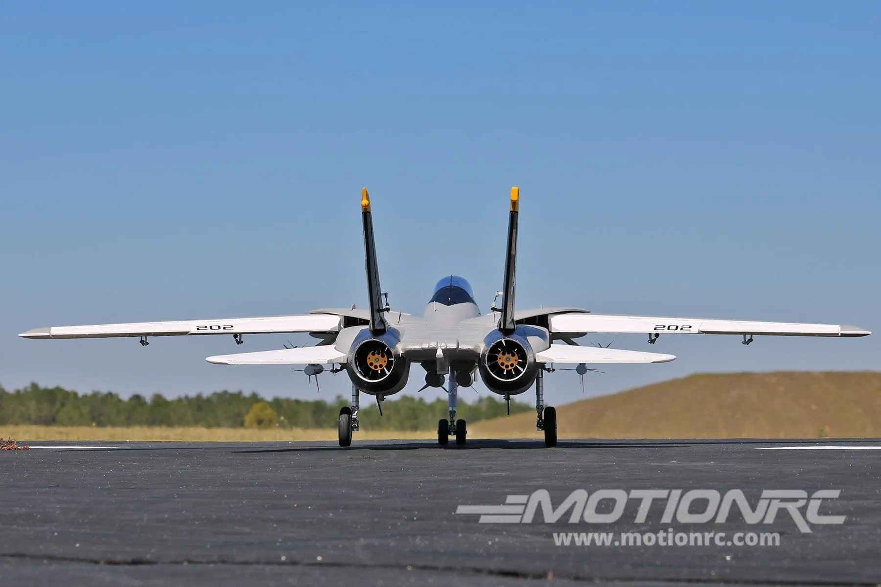 Freewing F-14 Tomcat Twin 64mm EDF Jet - PNP