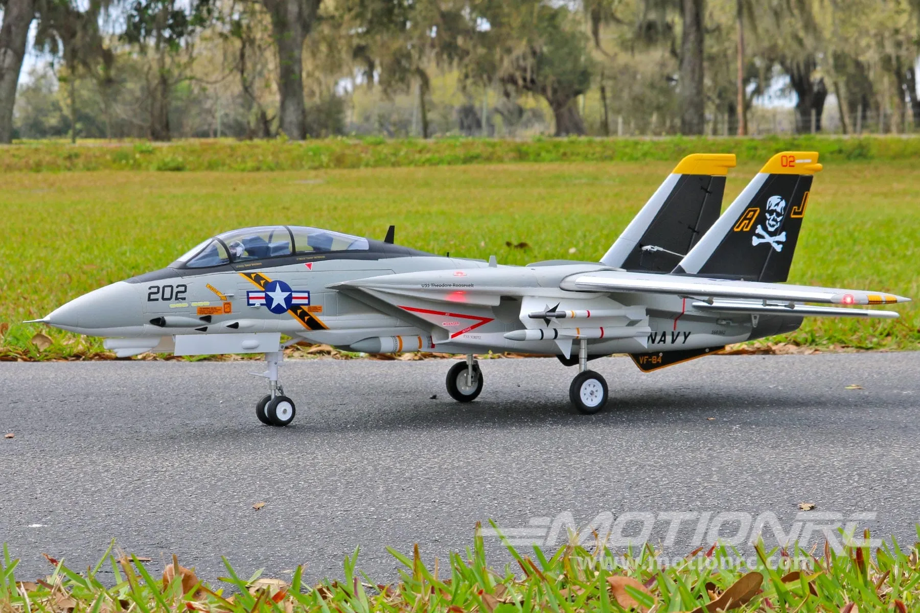 Freewing F-14 Tomcat Twin 64mm EDF Jet - PNP