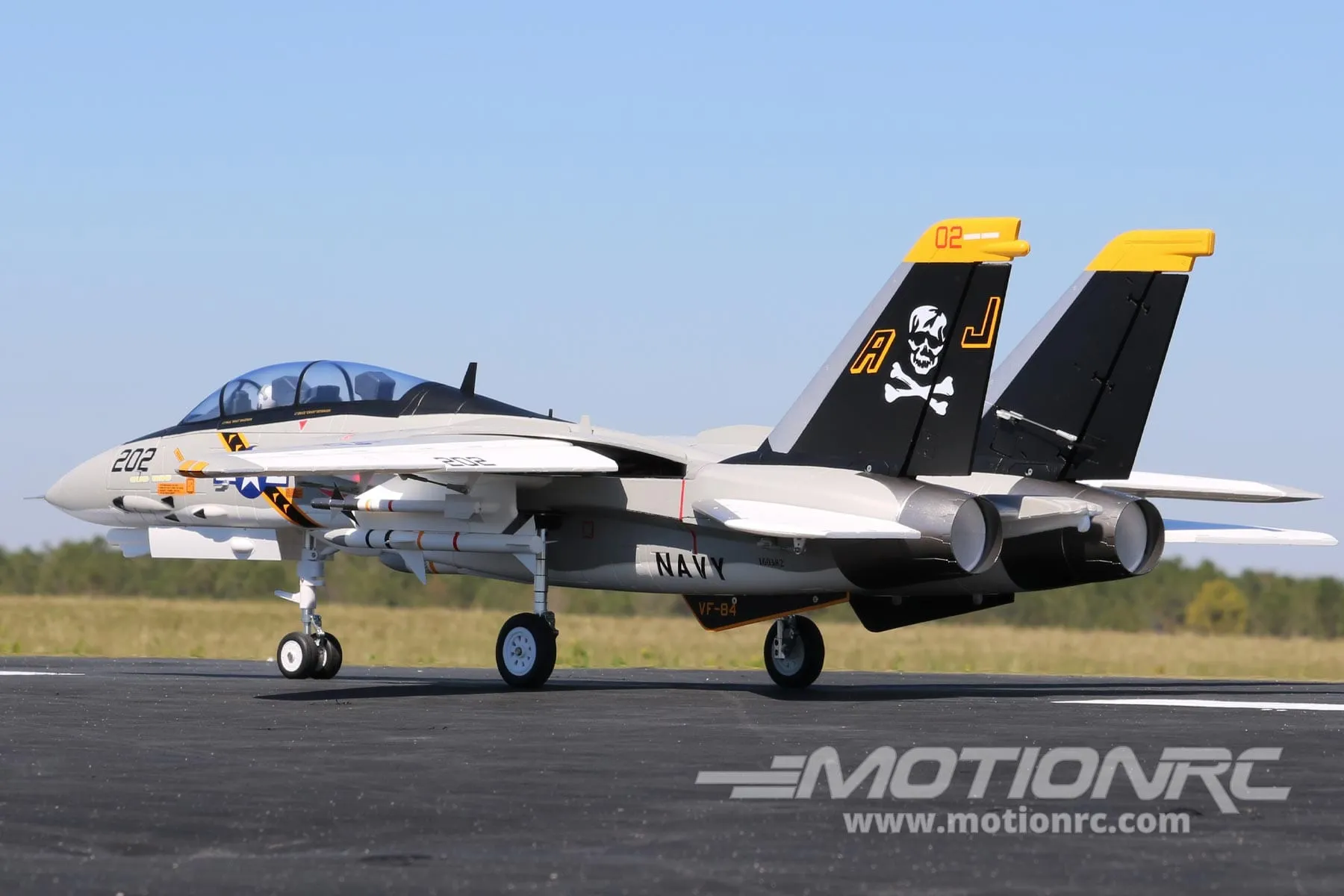 Freewing F-14 Tomcat Twin 64mm EDF Jet - PNP