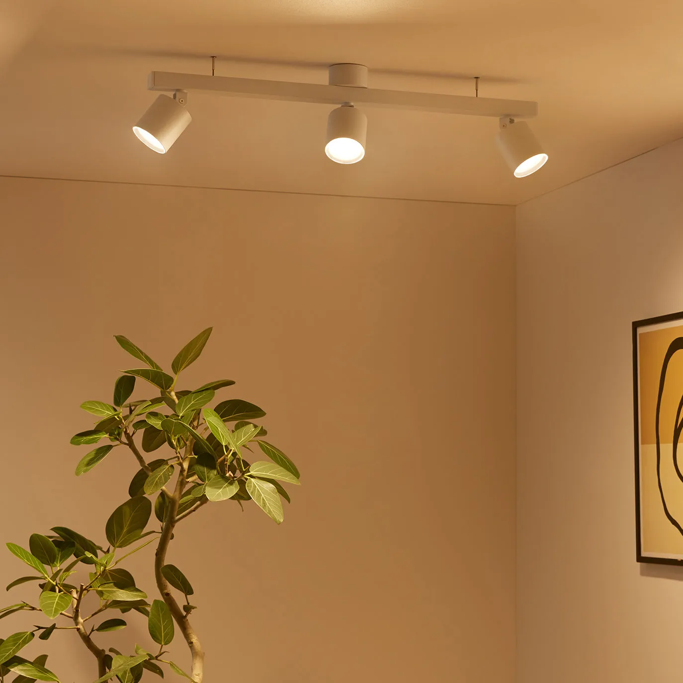 Grid3-down light