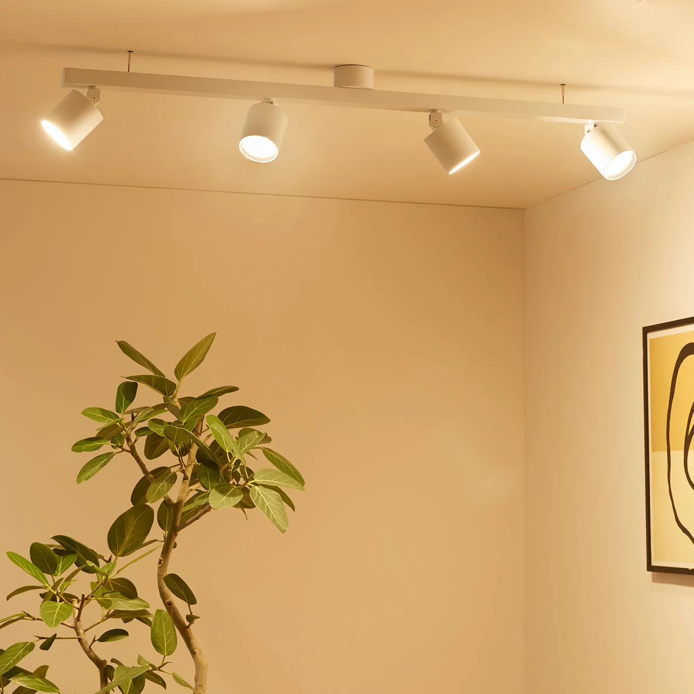 Grid4-down light