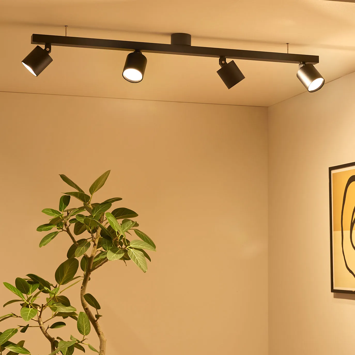 Grid4-down light