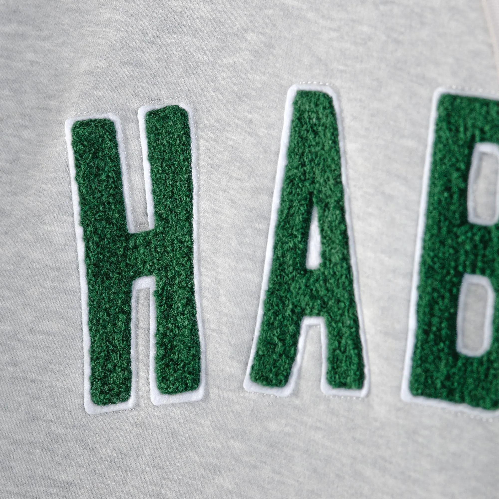 Ivy League Hoodie