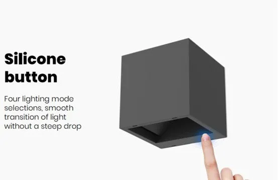 Solar UP & Down light #6983