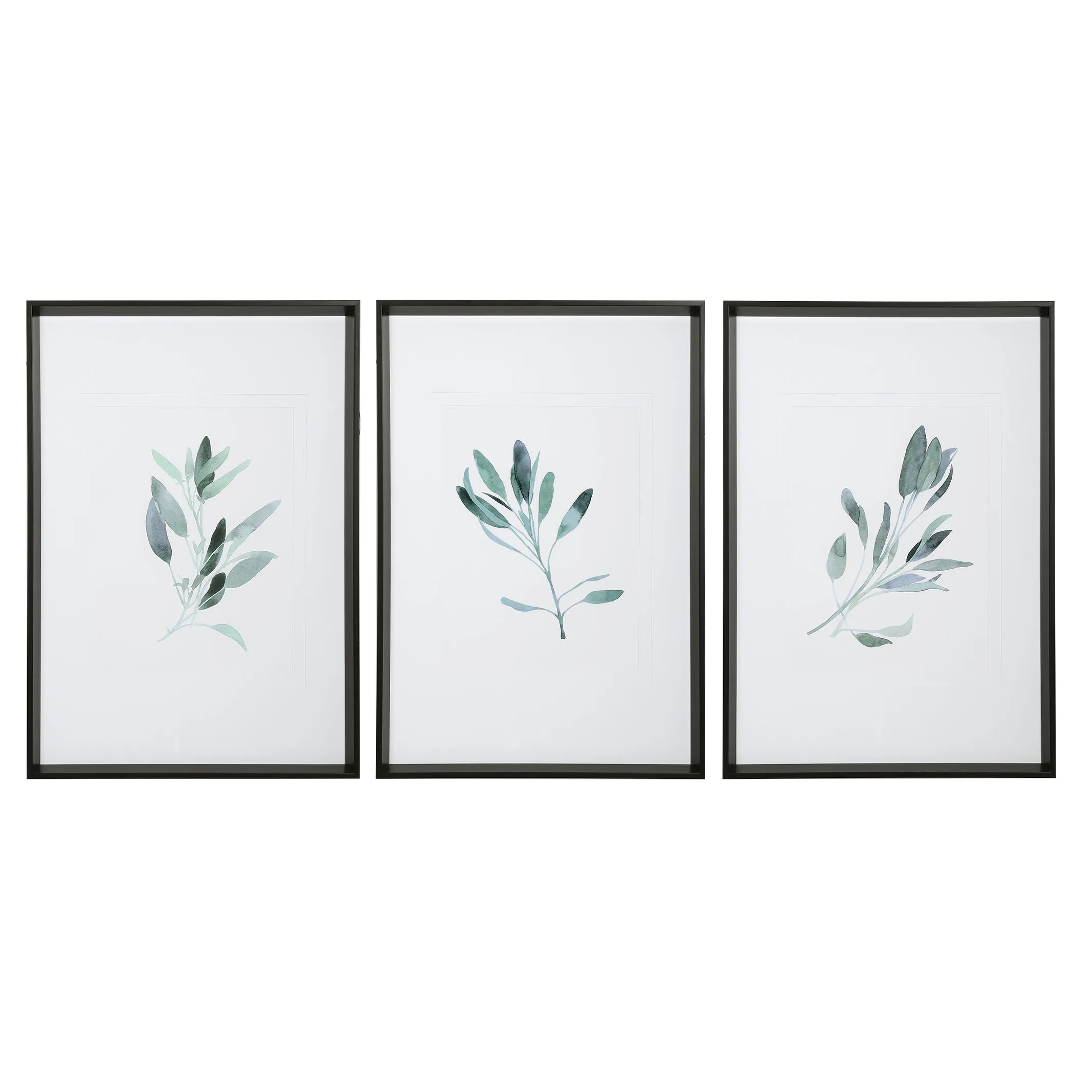 Uttermost Simple Sage Watercolor Prints, S/3